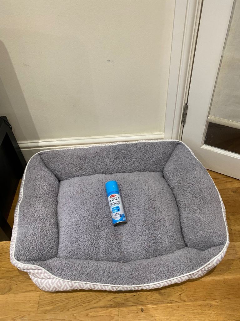 Cat bed