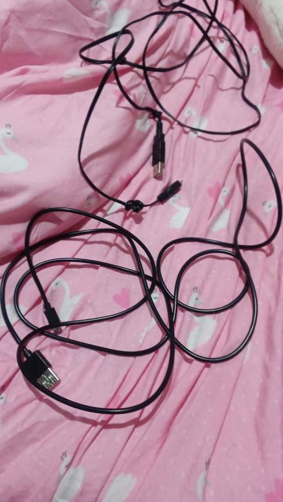2 usb cable leads
