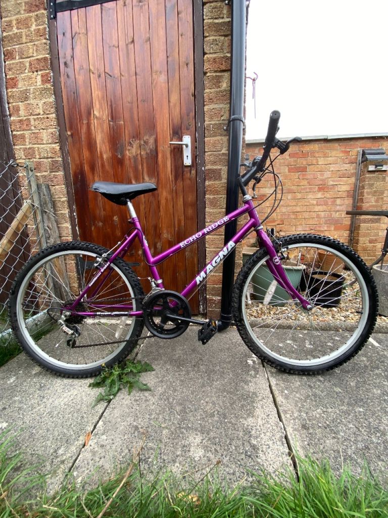 Magna Echo ridge bike