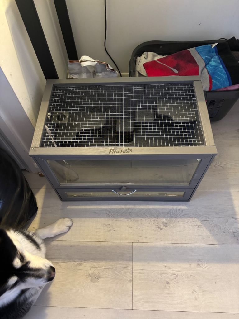 Free small animal/hamster cage (Monifieth)