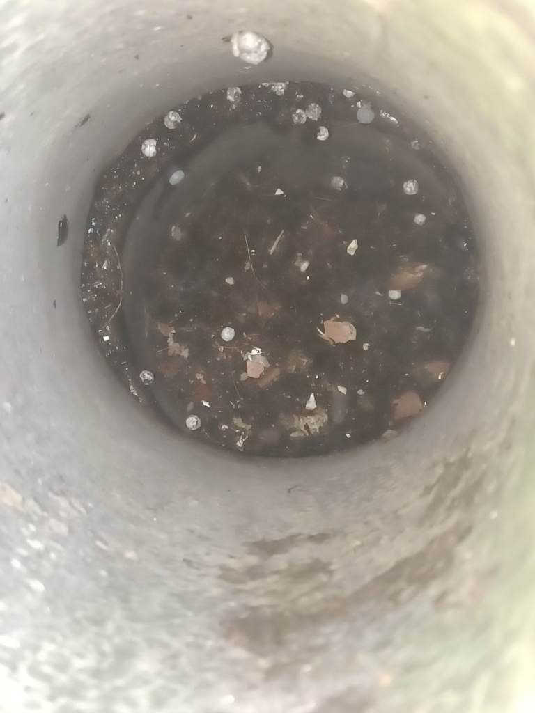 Your Blocked Drain Specialist