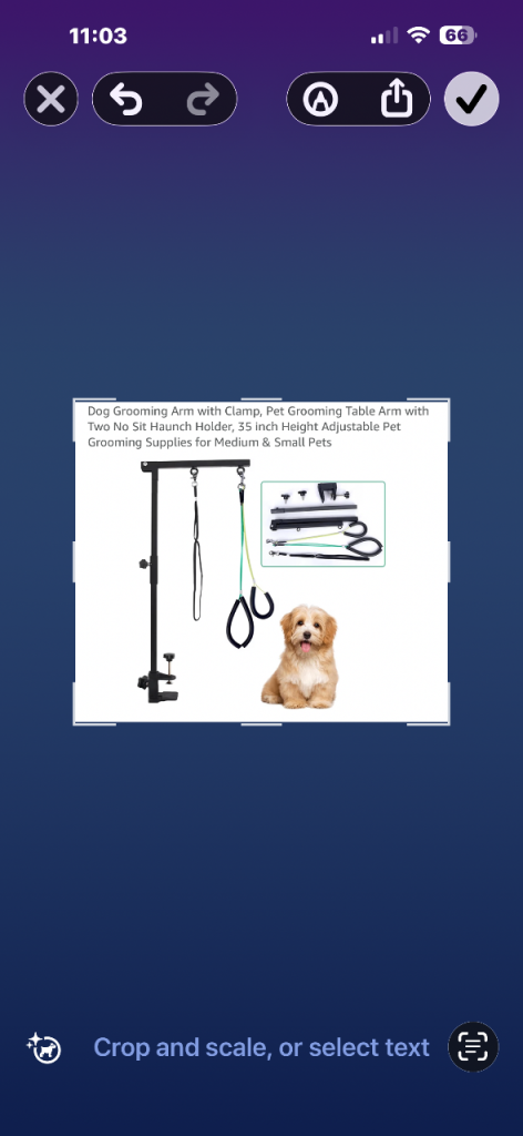 Foldable pet grooming arm 
