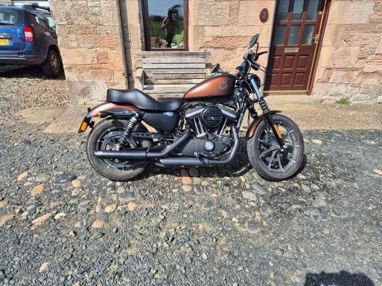 Harley-Davidson, SPORTSTER IRON, 2018, 883 (cc)