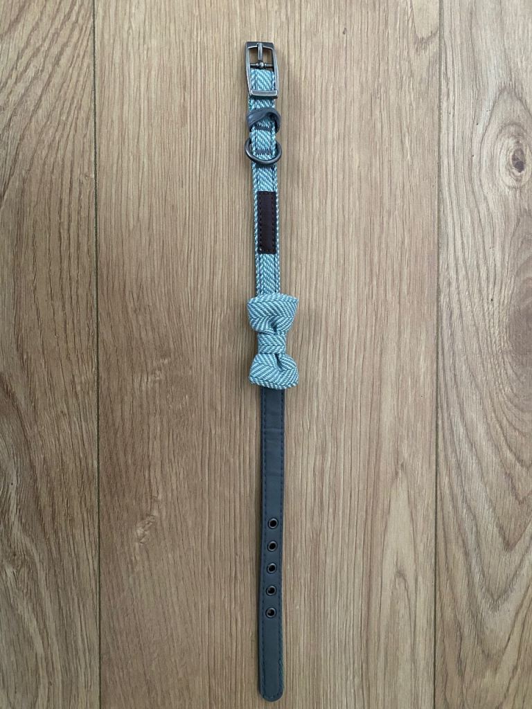 New puppy/small dog collar 