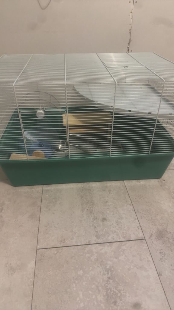 Hamster cage and accessories 