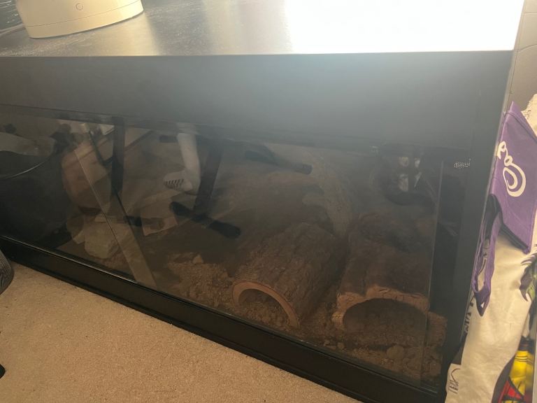 Complete Reptile Vivarium Setup | Heat Lamp | Arcadia UVB | HabiStat Thermostat | Ready to Go 