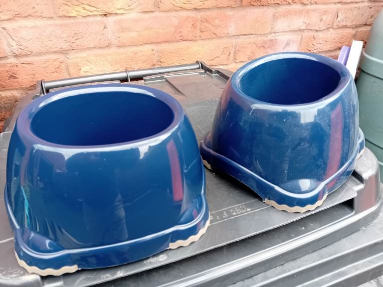 Cocker Spaniel food bowls