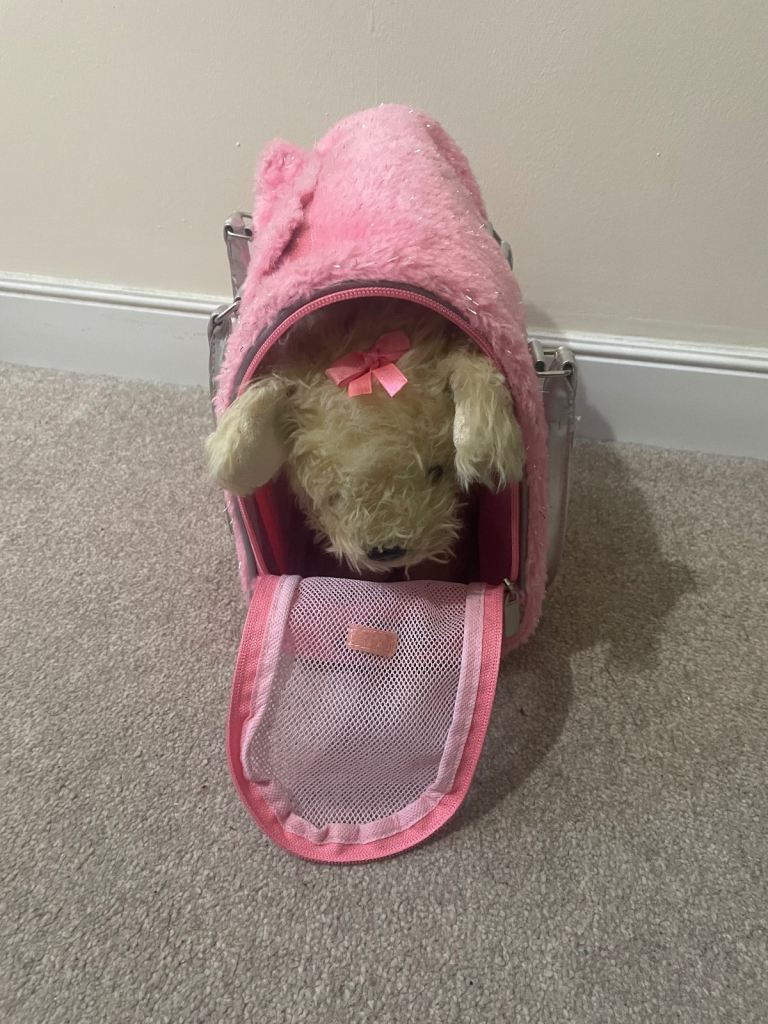 Pucci pup carrier and dog 