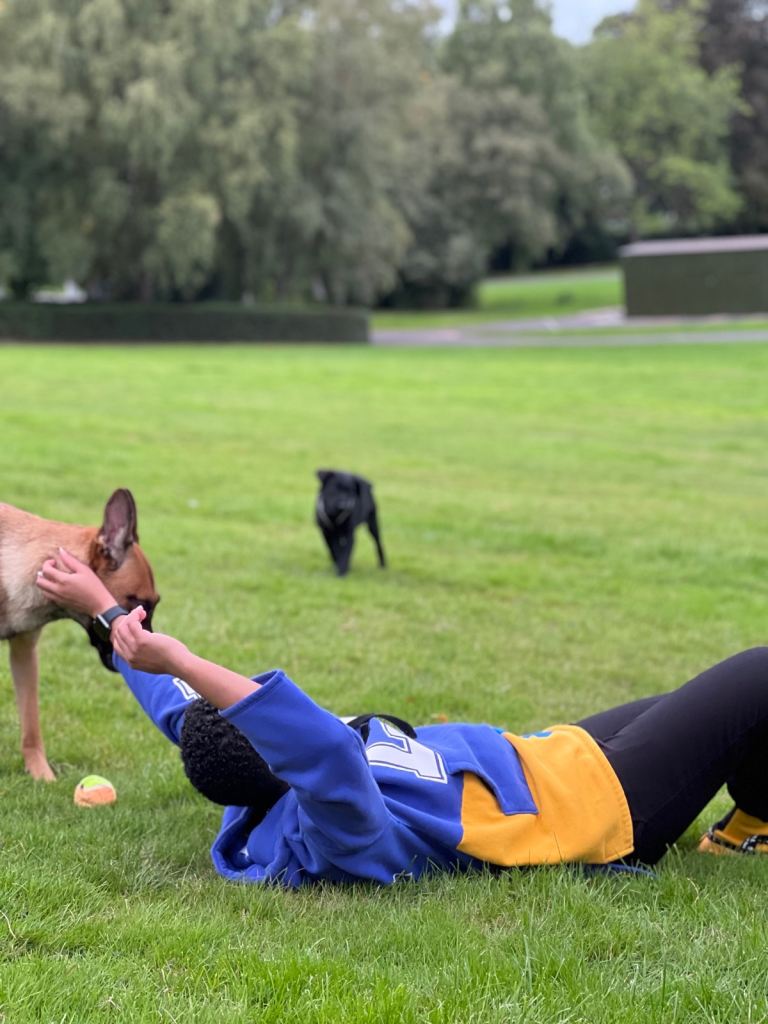Happy Paws – Pet Sitting & Home Visits 🐾