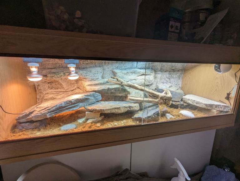 Vivarium Full Working Setup