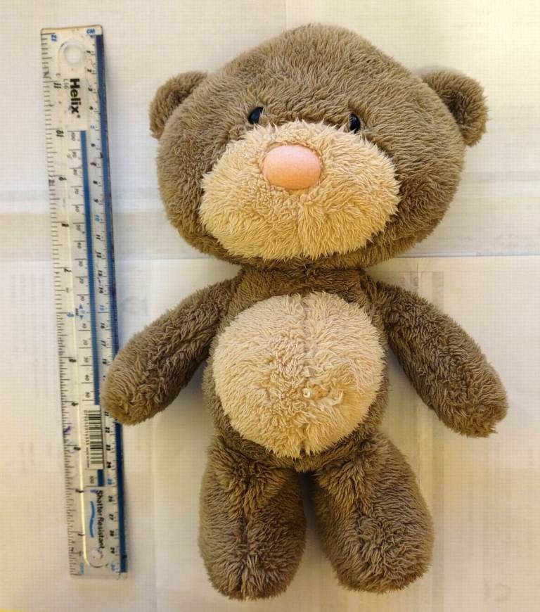 Hugs brand Bear - A Plush, Soft, Cuddly Toy