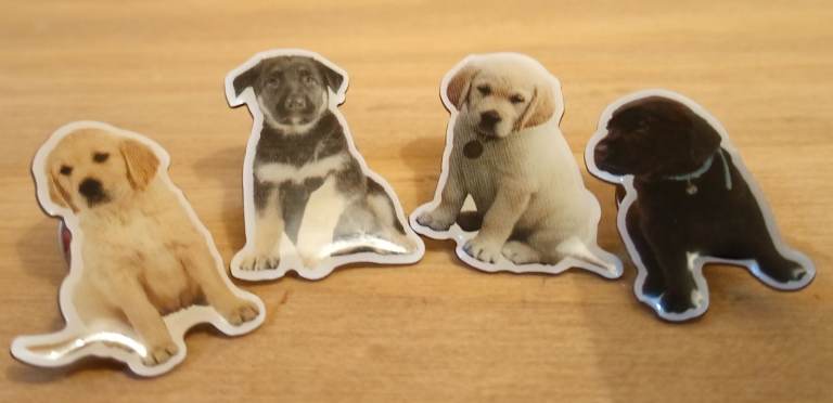 Set of x4 puppy dog pin badges-New