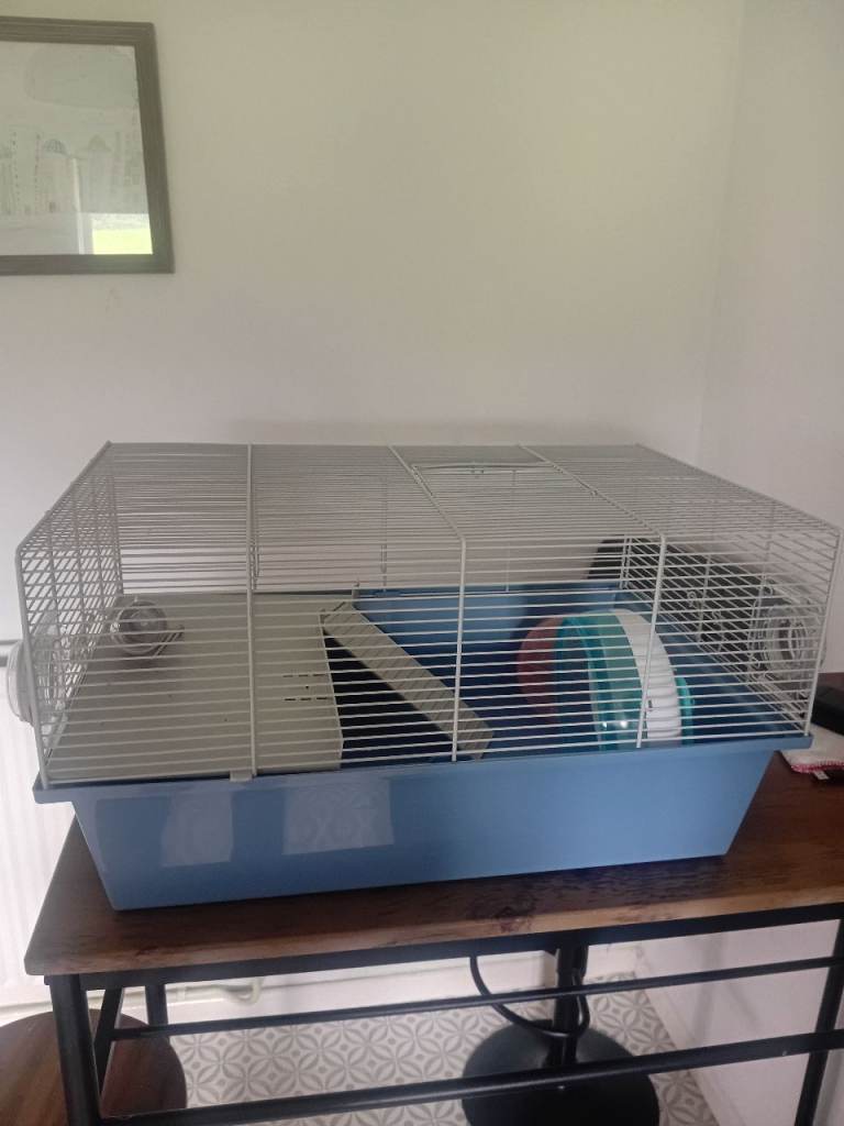 Hamster cage 