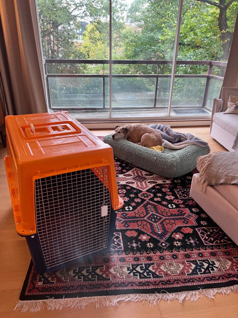 PP70 dog travel crate - for medium-large dog