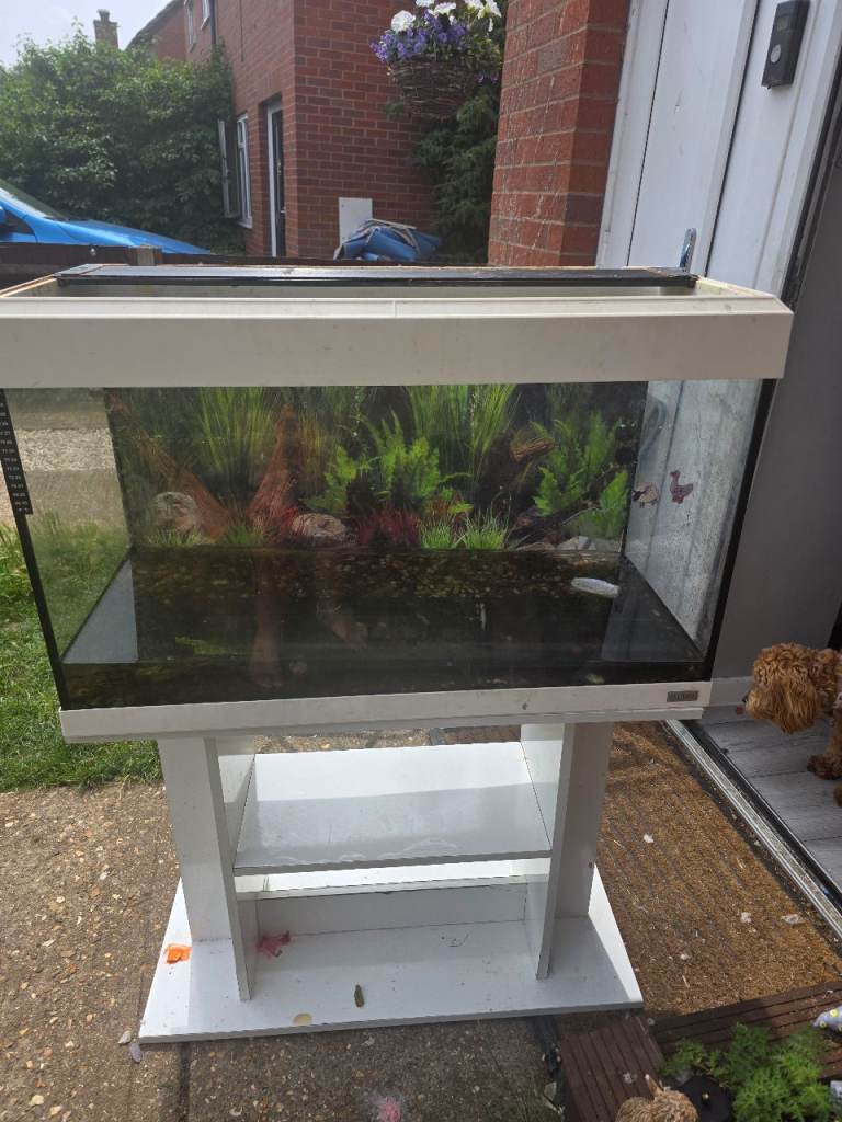 Fluval fish tank