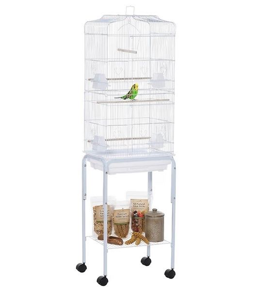 Bird cage 