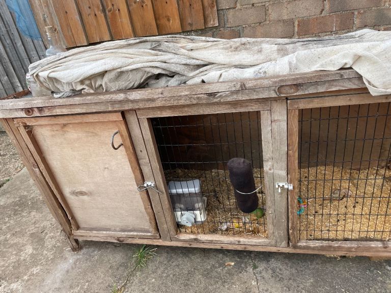 Rabbit hutch 