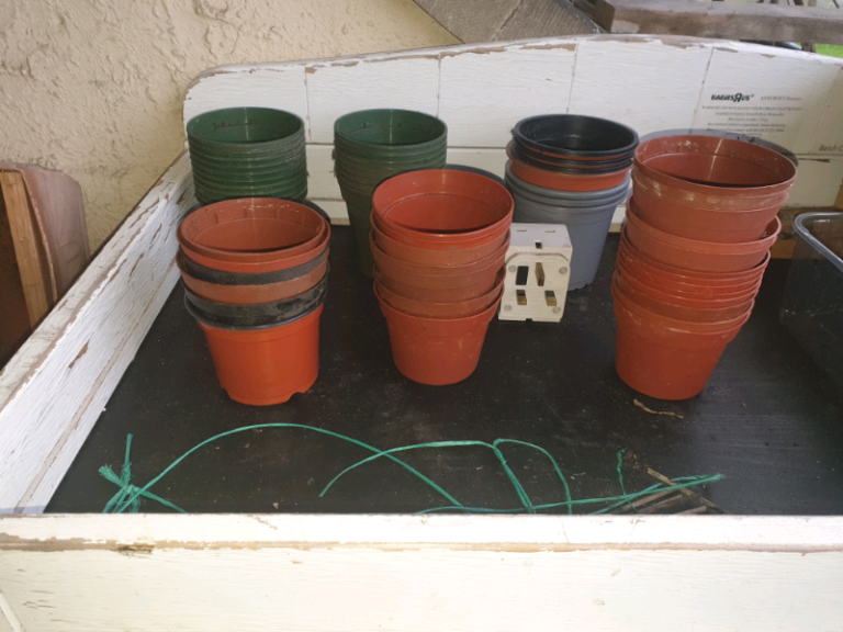 Plant pots 