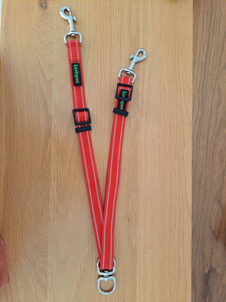 Double dog walking lead