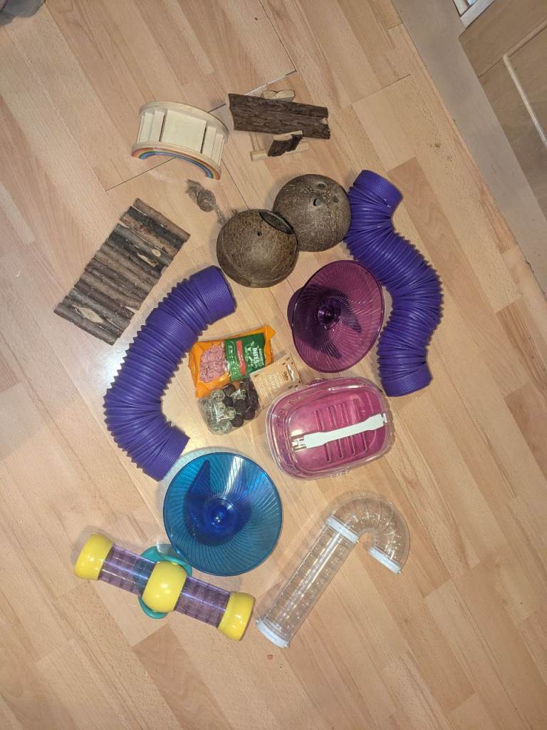 Hamster Toys & Accessories 