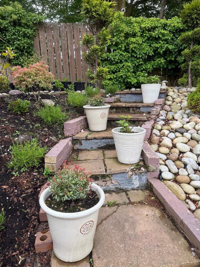 4 x Potted Plants 14” x 14”