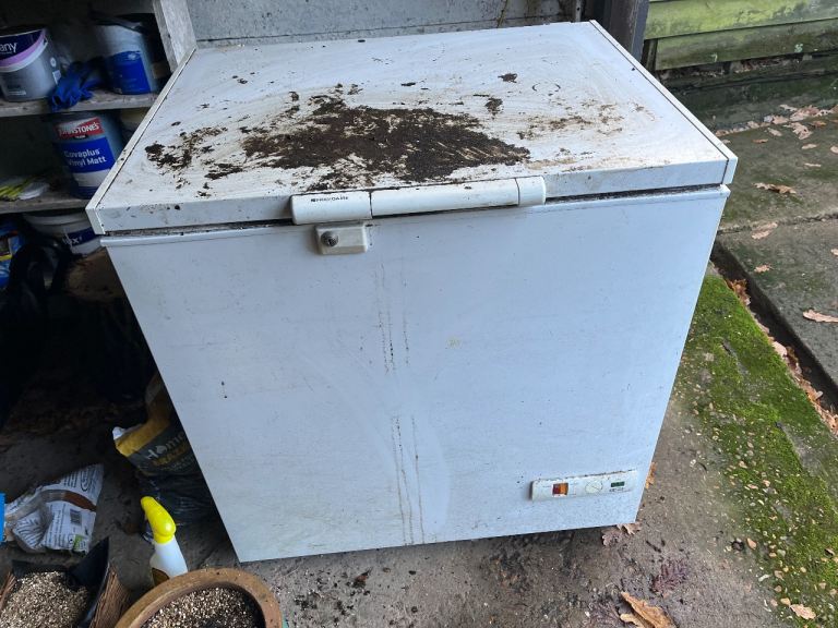 image for Chest FREEZER. FREE TO COLLECTOR