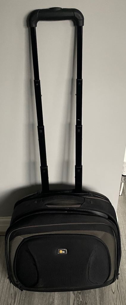 image for Business overhead cabin bag