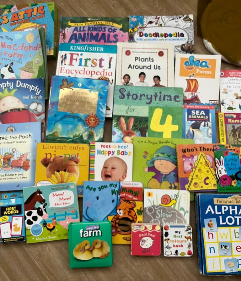 Large Bundle of Children’s Books & Games