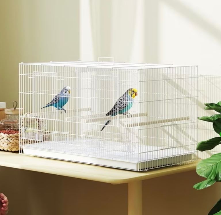 Large bird cage