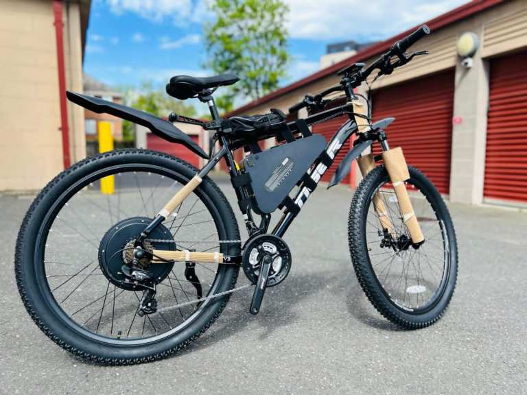 1000w 48v 20ah triangle battery fast speed bike