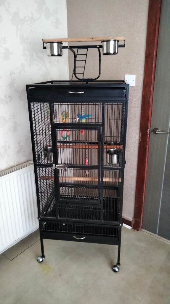 Parrot cage