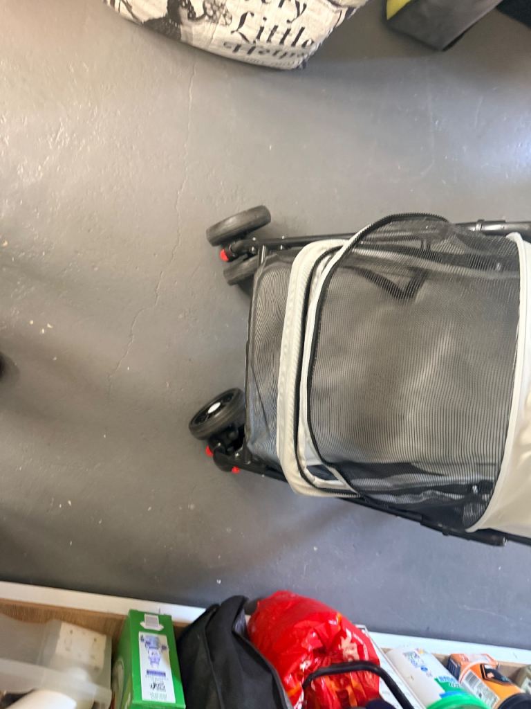 Cat/kitten pram 