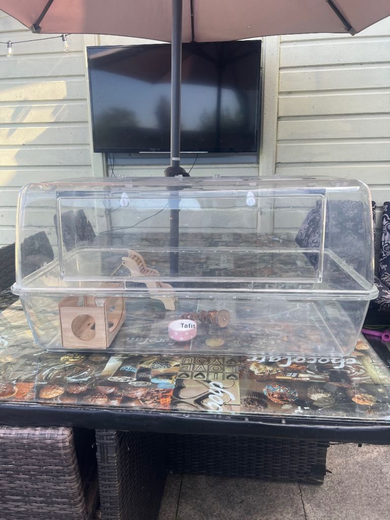 Hamster cage 
