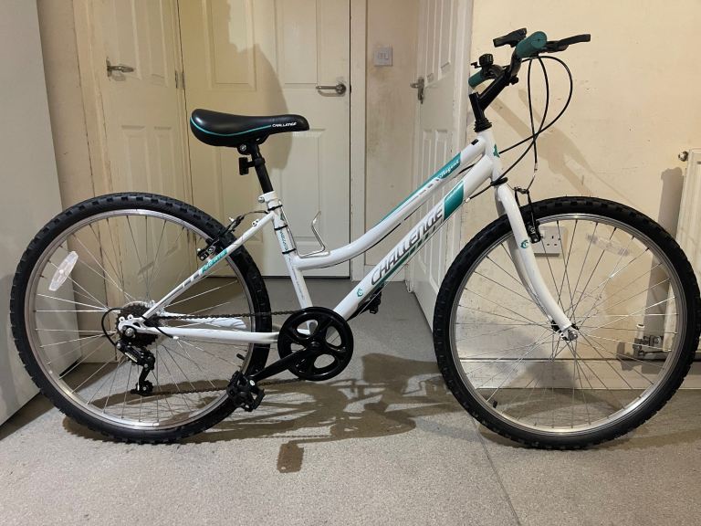 Adults Bike seat & handle extendable fully serviced hardly been used