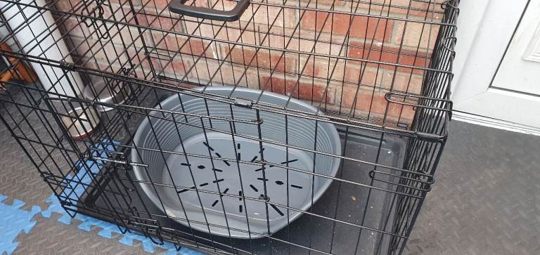 Dog crate 