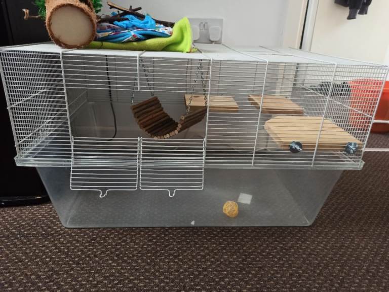 2x hamster cages with accessories and food