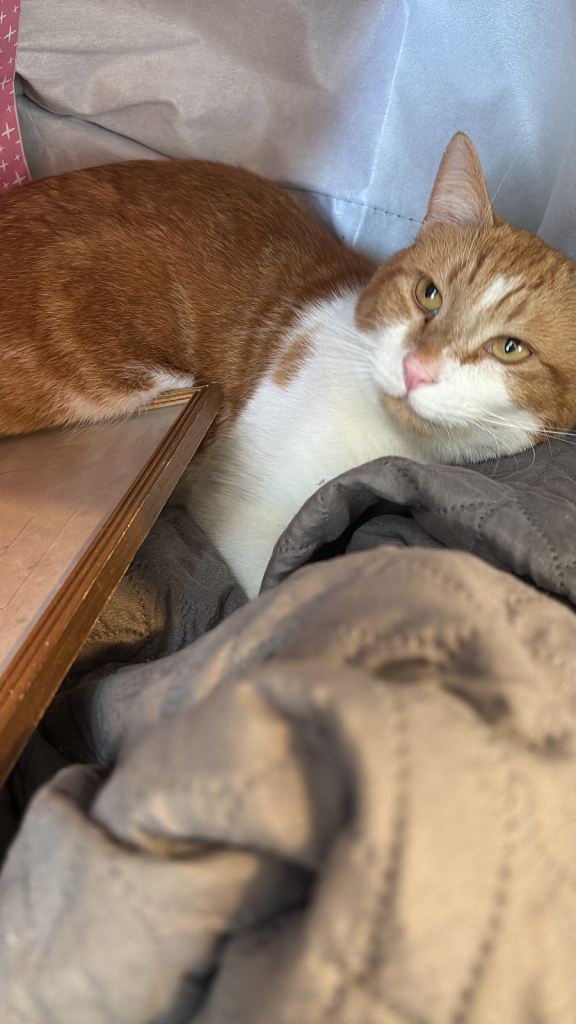 Rubble 