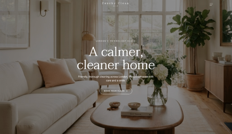 Looking for Cleaner