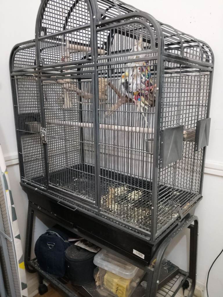 Big bird cage for sale