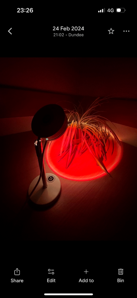 Sunset Lamp with remote 