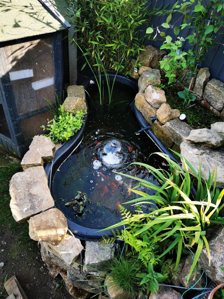 Pond