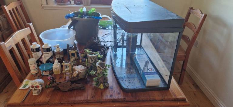 64 litre tropical fish tank