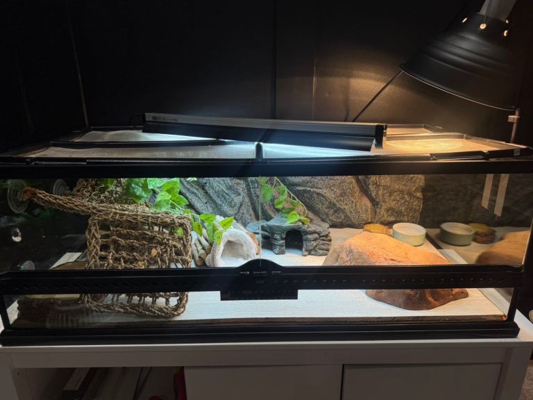 Vivarium with cabinet and accessories 