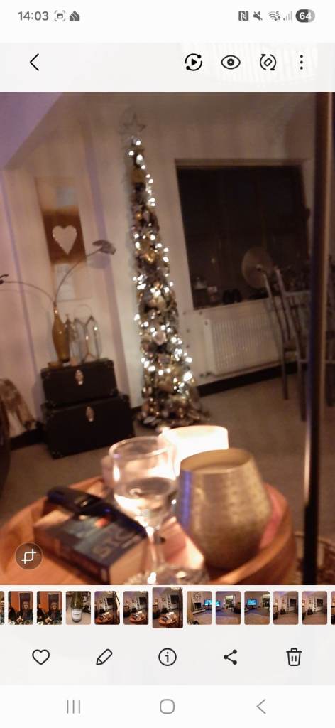 Slim black Christmas tree.