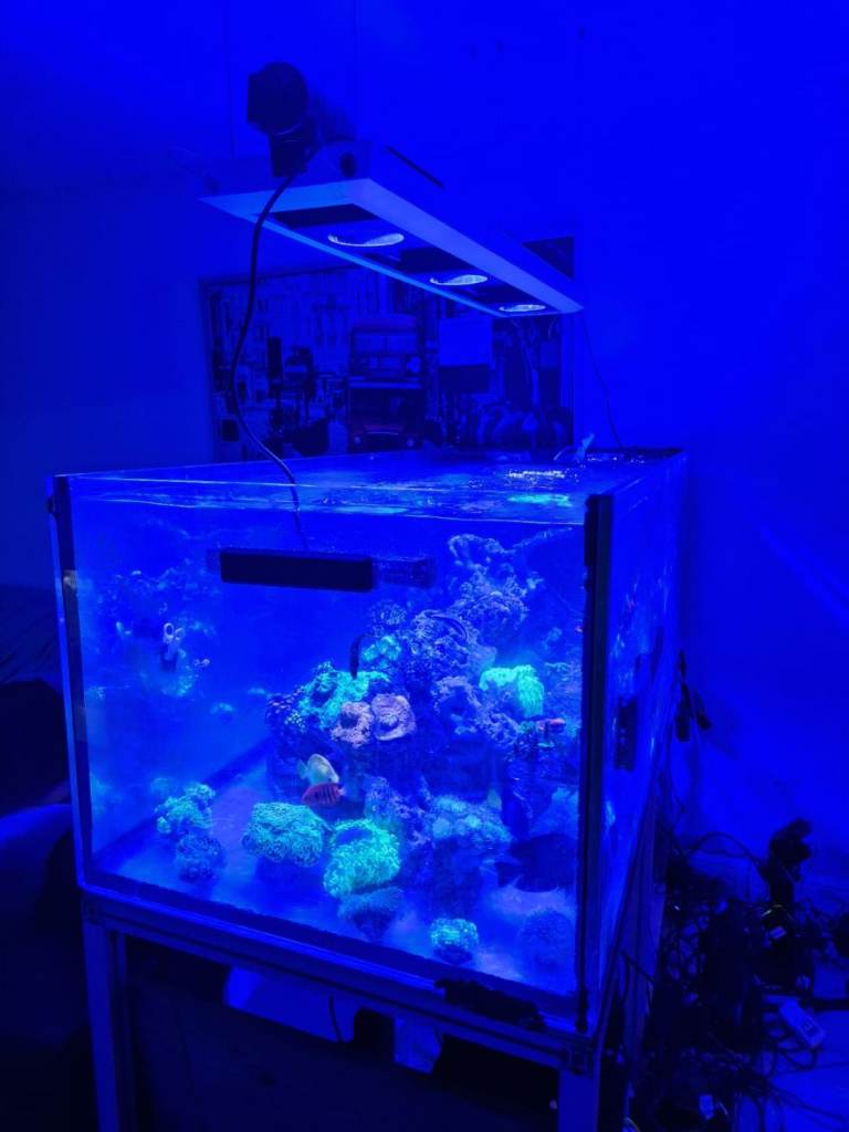Marine Aquariums