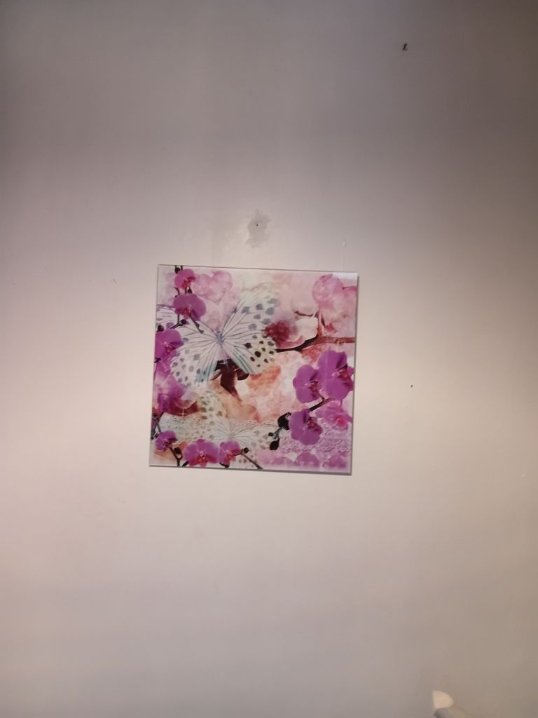 Butterfly and Orchid Wall Art – Pink, Good Condition