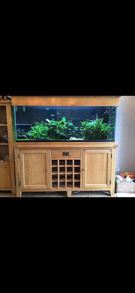 5ft Solid Oak wine rack marine tropical fish tank aquarium setup delivery🚚