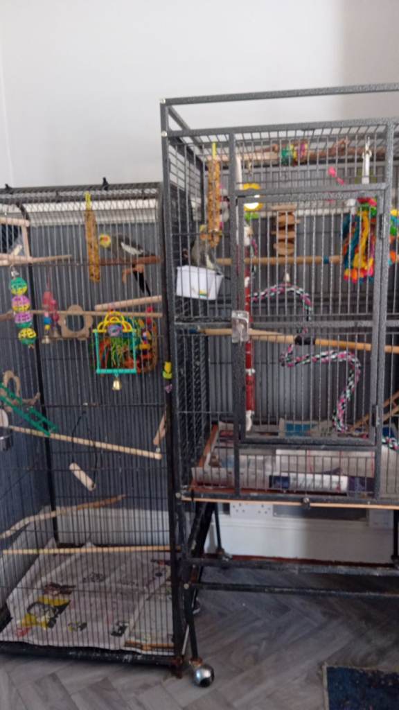 Cocktail and cage