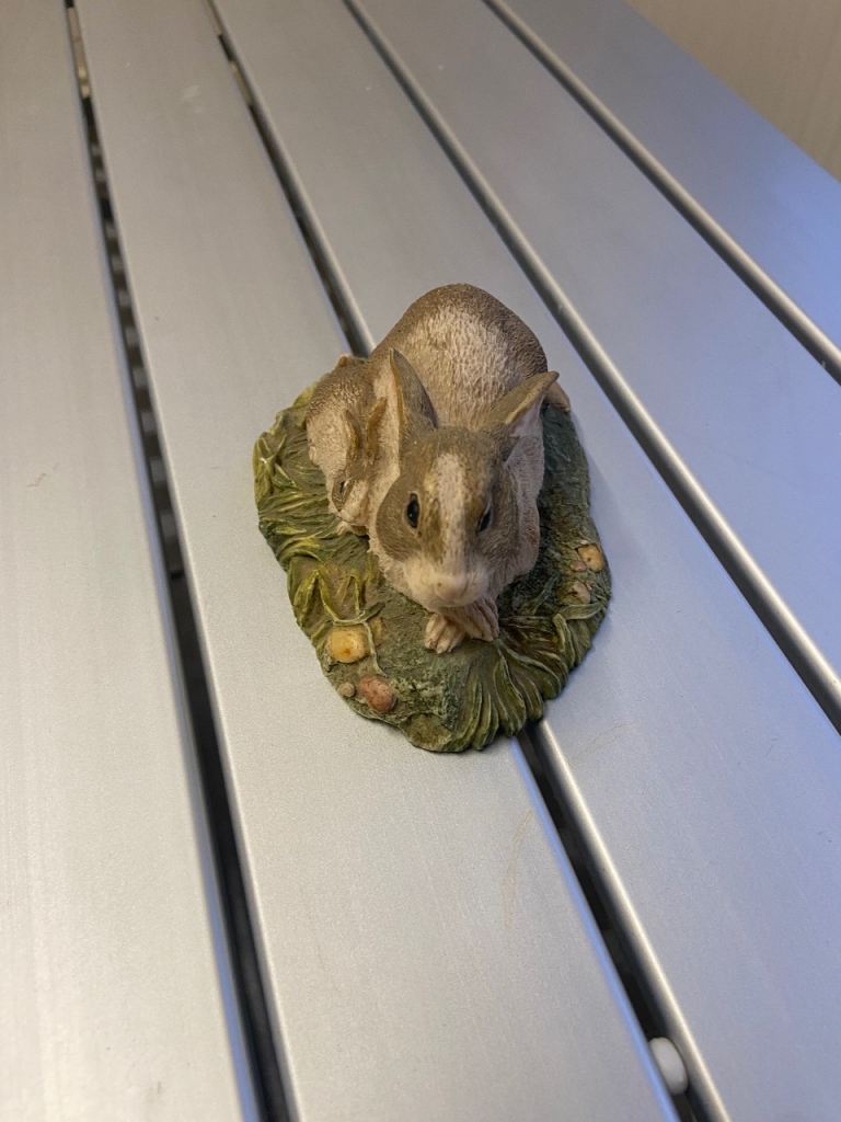 Rabbit