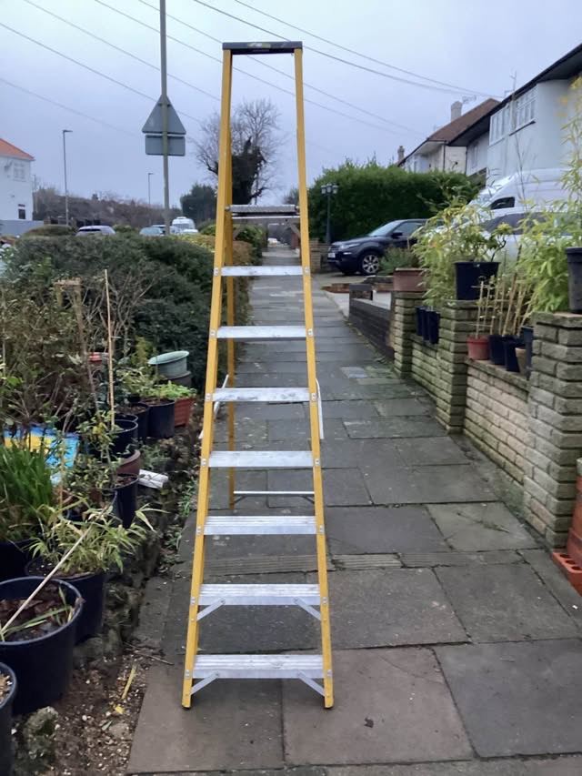 FIBREGLASS 7 TREAD PLUS PLATFORM LADDER